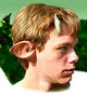 Halloween Stage Theatrical Costume Latex Prosthetic Faun Ear